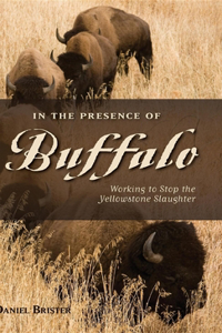 In the Presence of Buffalo