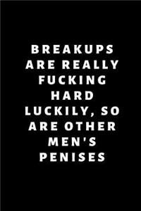 Break Ups Are Really Hard Luckily So Are Other Men's Penises