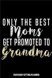 Grandma 2020 Baby Sitting Planner