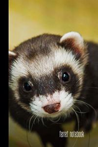 ferret notebook