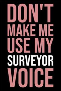 Don't Make Me Use My Surveyor Voice