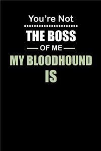 You're not the Boss of Me My Bloodhound Is