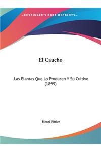 El Caucho