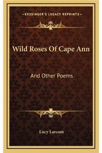 Wild Roses of Cape Ann
