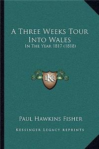 A Three Weeks Tour Into Wales