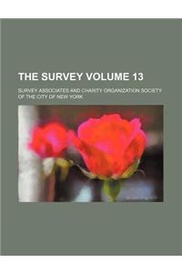 The Survey Volume 13
