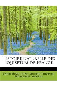 Histoire Naturelle Des Equisetum de France