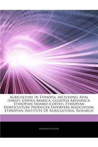 Articles on Agriculture in Ethiopia, Including