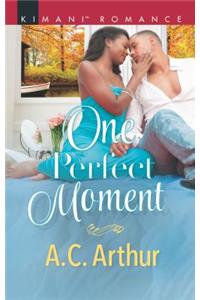 One Perfect Moment