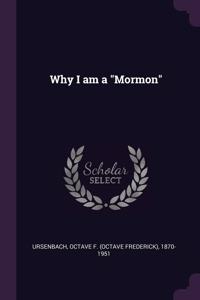 Why I am a 