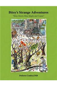 Bitsy's Strange Adventures