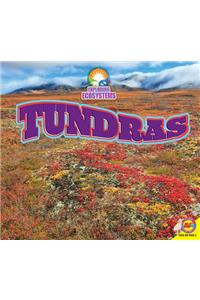 Tundra