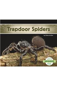 Trapdoor Spiders