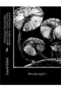 Mushrooms Marasmiellus agarics of Peru Gentle Classic Glow Gallery
