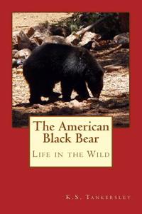 The American Black Bear