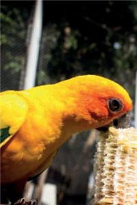 Exotic Birds January Notebook & Journal. Productivity Work Planner & Idea Notepad