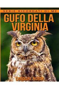 Gufo Della Virginia