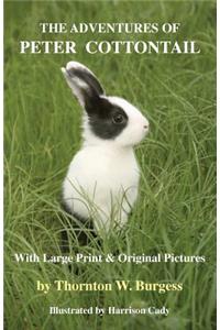 The Adventures of Peter Cottontail