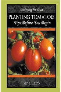 Planting Tomatoes