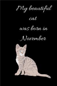 My beautiful cat was born in November Notebook, Composition Notebook Journal to make notes, Notebook for Kids, Students, Teatchers