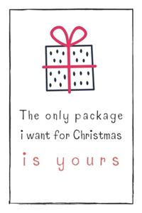 The Only Package I Want For Christmas Is Yours