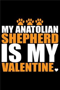 My Anatolian Shepherd Is My Valentine