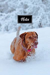 Vizsla Dog Pup Puppy Doggie Notebook Bullet Journal Diary Composition Book Notepad - Running Deep in Snow