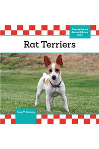 Rat Terriers