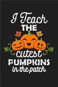I Teach The Cutest Pumpkins In The Patch