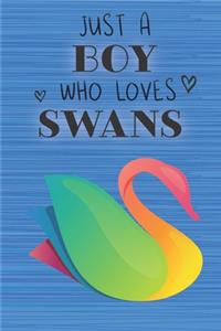 Just a Boy Who Loves Swans