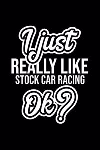 I Just Really Like Stock Car Racing Ok?