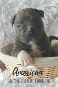 American Staffordshire Terrier Notebook