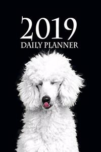 2019 Daily Planner