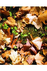 School Composition Book Fall Leaves Acorn Caps 130 Pages