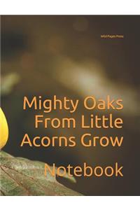 Mighty Oaks From Little Acorns Grow