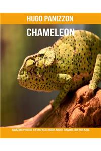 Chameleon: Amazing Photos & Fun Facts Book about Chameleon for Kids