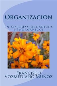 Organizacion En Sistemas Organicos E Inorganicos