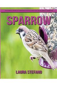 Sparrow