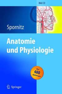 Anatomie Und Physiologie