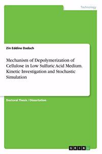 Mechanism of Depolymerization of Cellulose in Low Sulfuric Acid Medium. Kinetic Investigation and Stochastic Simulation