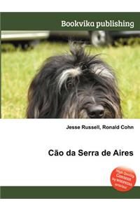 Cao Da Serra de Aires