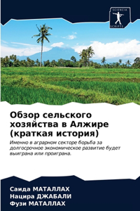 Обзор сельского хозяйства в Алжире (крат
