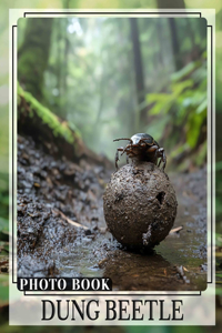 Dung Beetle Photo Book