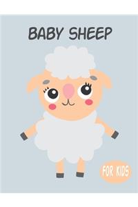 Baby Sheep For Kids
