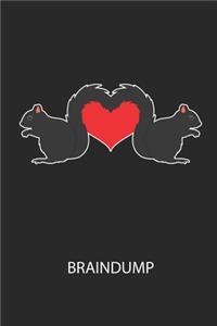 Braindump