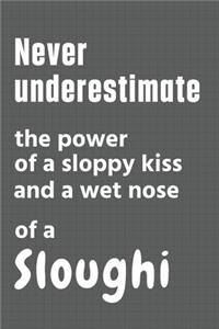 Never underestimate the power of a sloppy kiss and a wet nose of a Sloughi