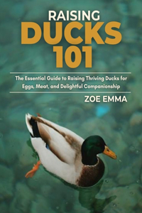 Raising Ducks 101