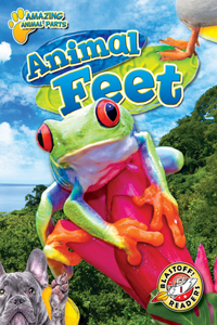 Animal Feet