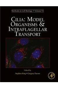 Cilia