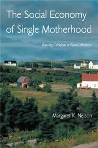 Social Economy of Single Motherhood